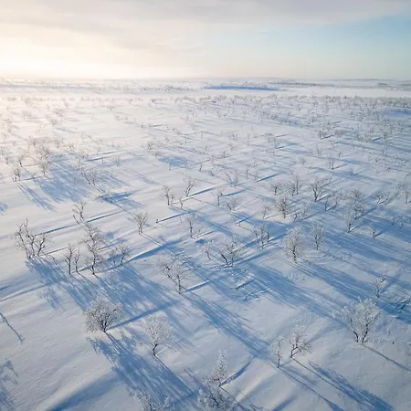 Arktika Porealtaallinen Moekki Nuorgamissa Tenojoen Ja Tunturien Vieressae 펜션 *