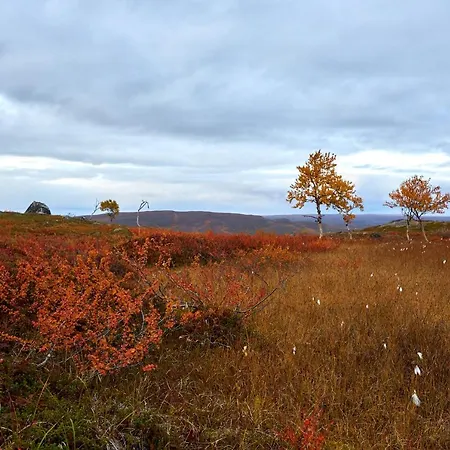 Arktika Porealtaallinen Moekki Nuorgamissa Tenojoen Ja Tunturien Vieressae * Nuorgam
